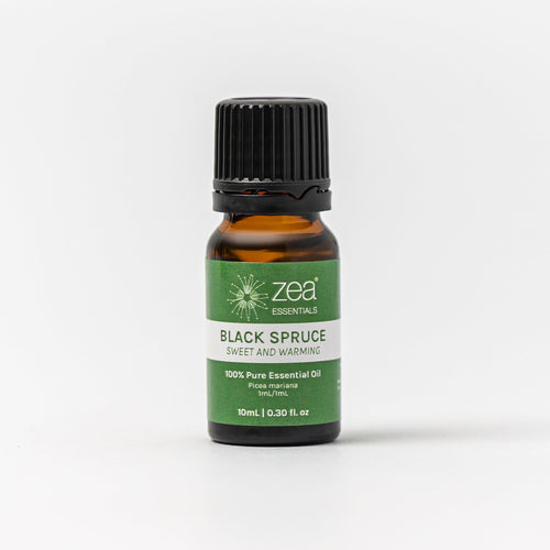 Black Spruce Essential Oil