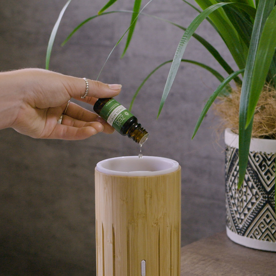 Lemon Myrtle Essential Oil