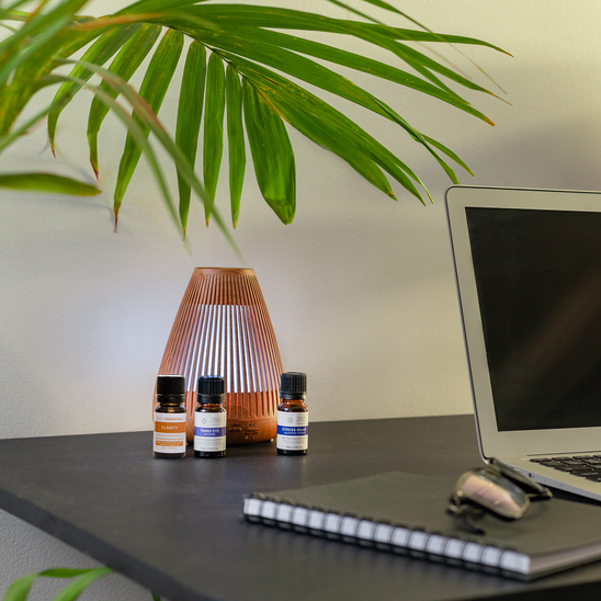 Focus & Clarity Essential Oil Trio