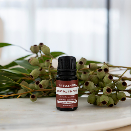 Coastal Tea Tree Essential Oil